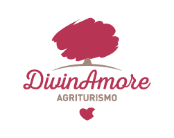 logo divin amore